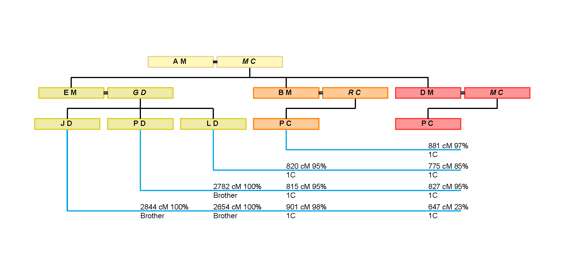 Ultimate Family Tree Chart Templates Cd